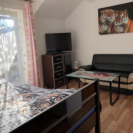 Agata Daire Wisła Dış mekan fotoğraf